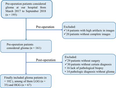 The combination of radiomics features and VASARI standard to predict glioma grade